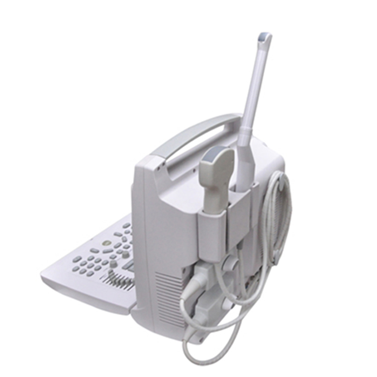 Factory Direct Sales Black and White Digital Ultrasonic Imaging System
