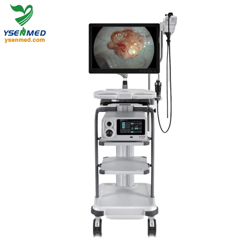 Sonoscape X-2600 Multi-Compatible Integrated Endoscopy Solutions Video Endoscopy System