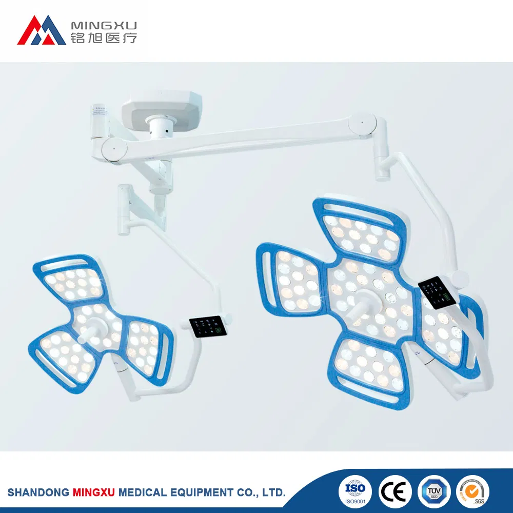 Advanced Dual-Head LED Surgical Lights for Operating Rooms