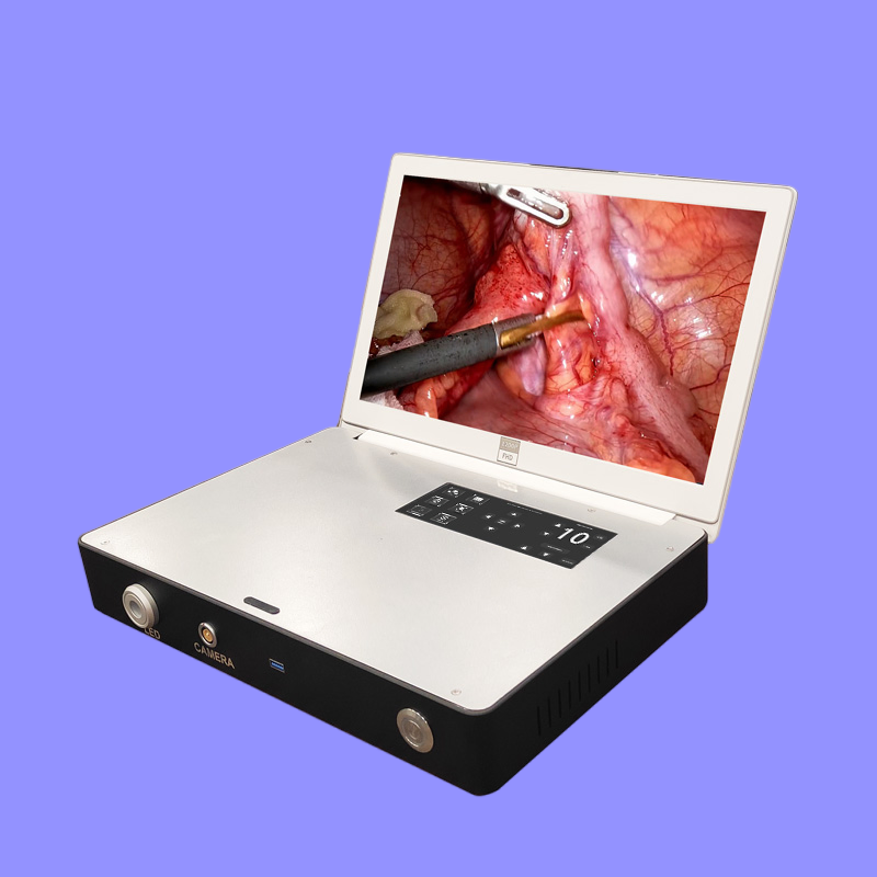 Portable Ent Endoscope Camera System with 2-in-1 Compatibility for Rigid and Flexible Scopes, LED Illumination, and HDMI Video Output