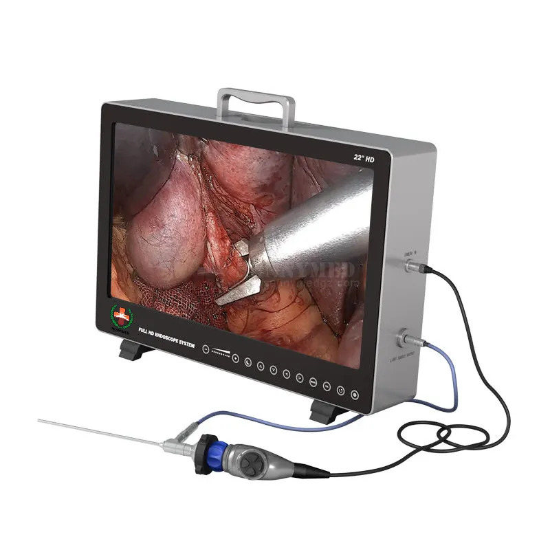 Endoscope System 1