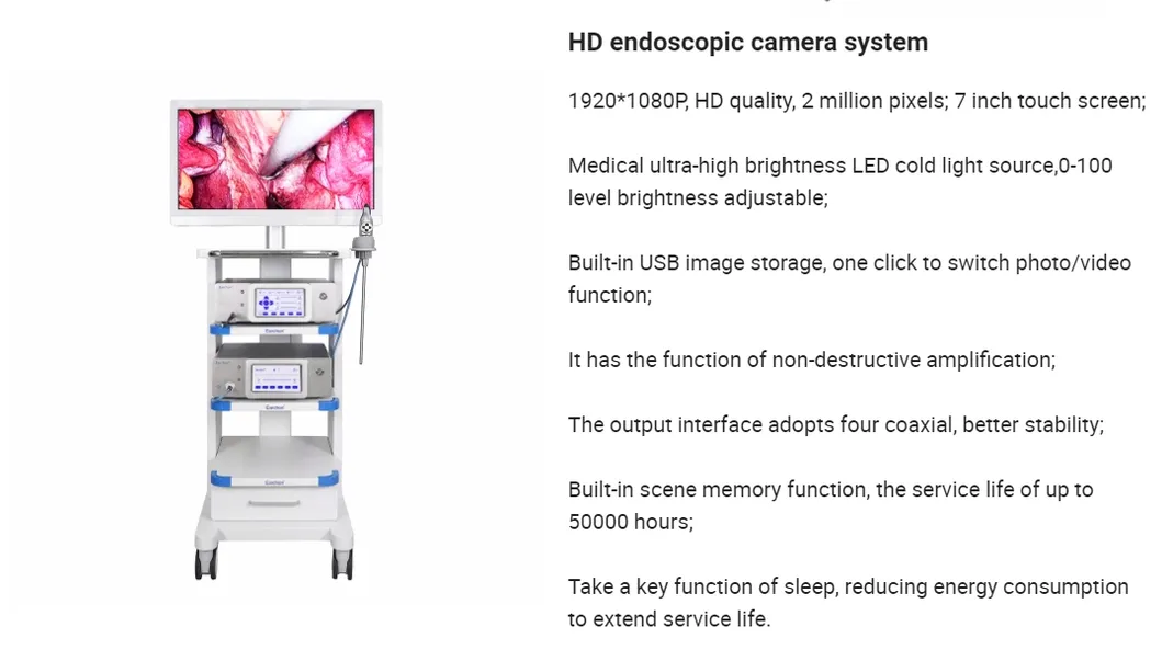 Endoscope System 13