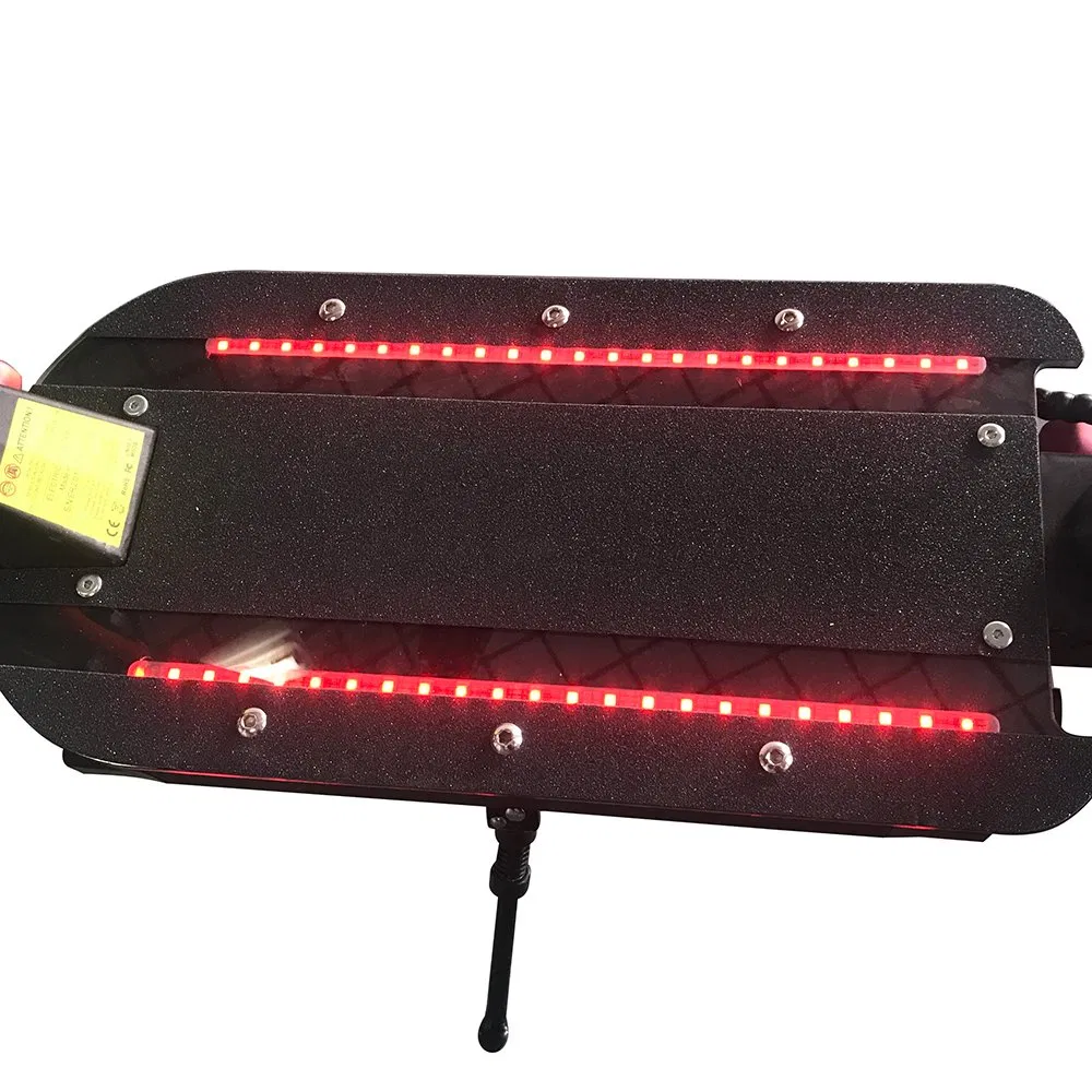 Ecorider E4-9 Wholesale Electric Scooter Parts and Body Parts, Electric Scooter Accessories