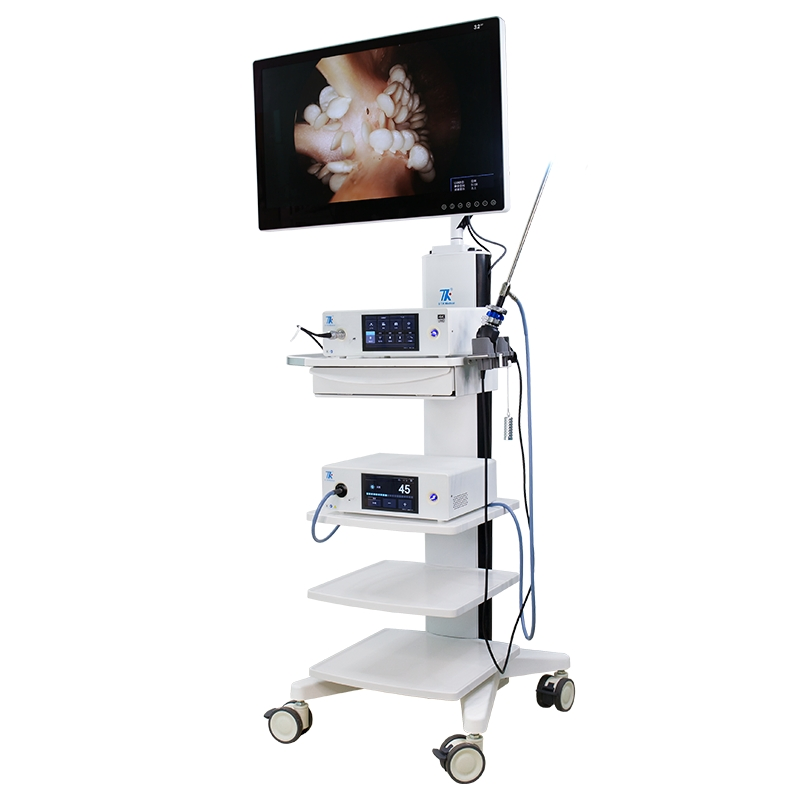 Hot Selling Portable Ent Endoscope Camera System with Light Source Mdr CE