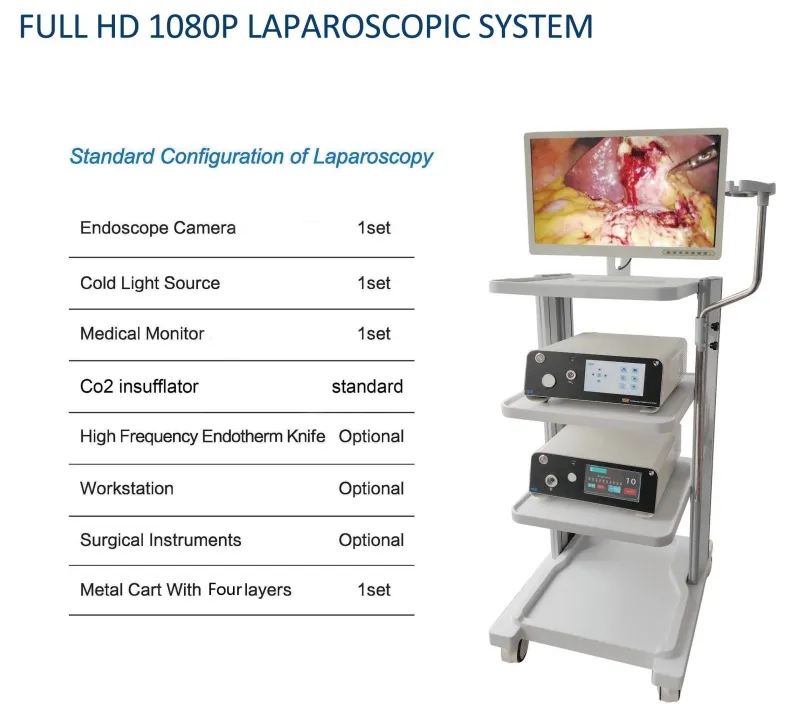 Surgical Video System Display