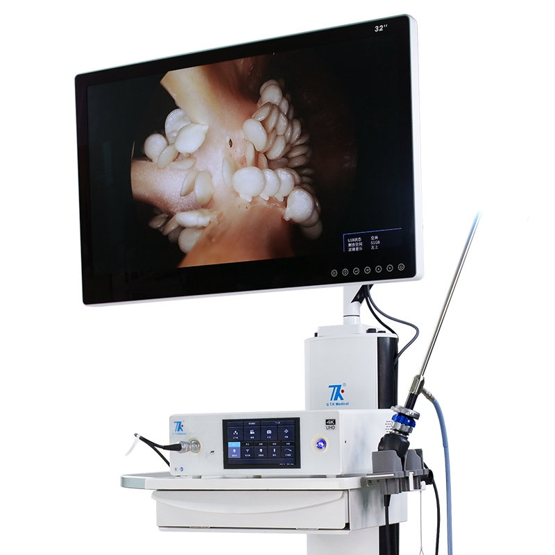 Top1 Manufacturer Arthroscopy Ent Video Endoscope Camera Endoscopy System with Cold Light Source for Clinic Hospital Surgical Use