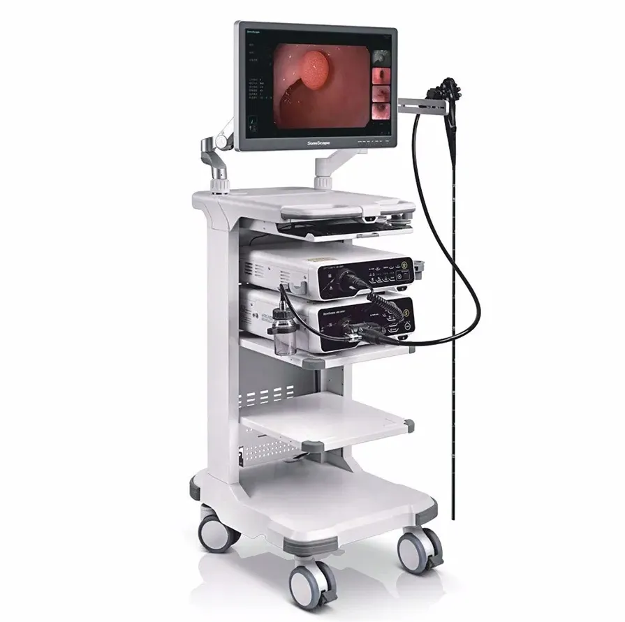 Endoscope System 1