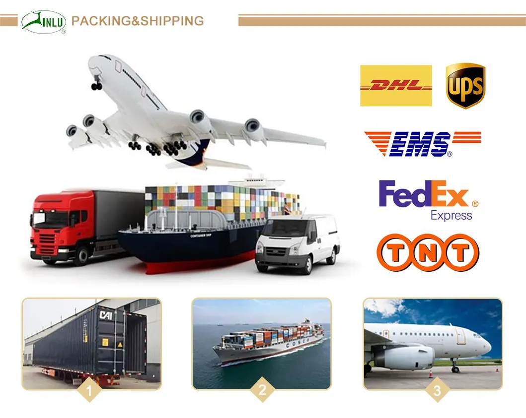 Shipping Logistics