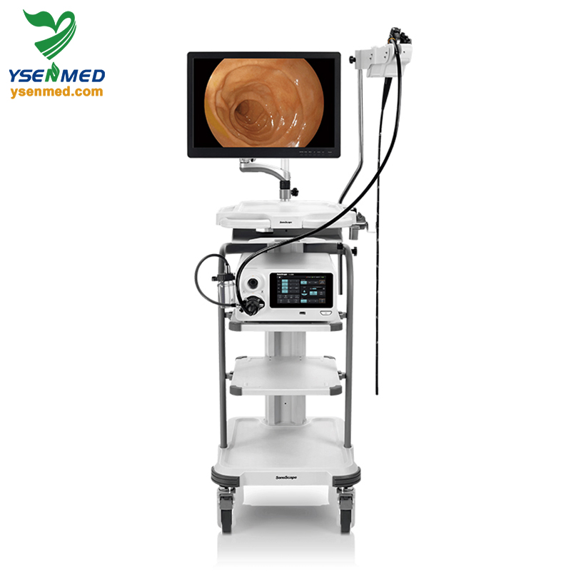 Sonoscape X-2600 Multi-Compatible Integrated Endoscopy Solutions Video Endoscopy System
