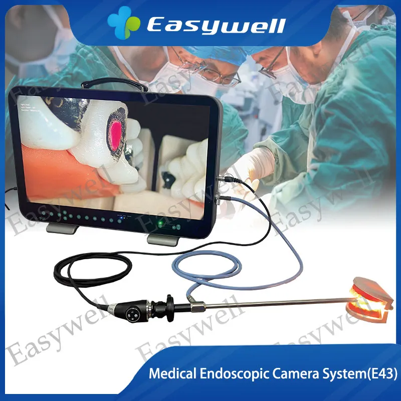 4K Endoscopic Imaging System