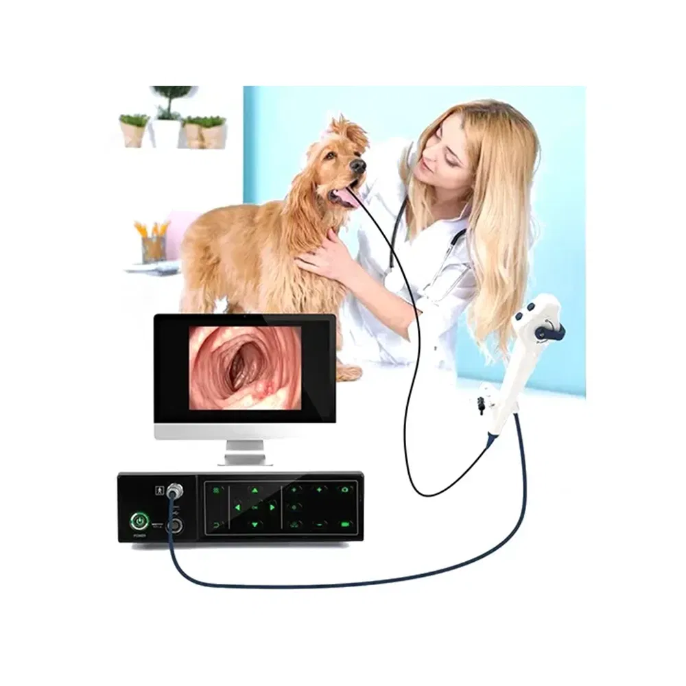 Xbx Medical Colonoscopy Machine Diagnosis Equipment Manufacturers Supplier HD/4K Flexible Nbi Endoscope Colonoscope