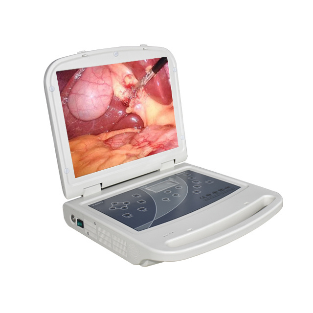 Advanced Endoscopic Imaging System for Medical Diagnostics Solutions