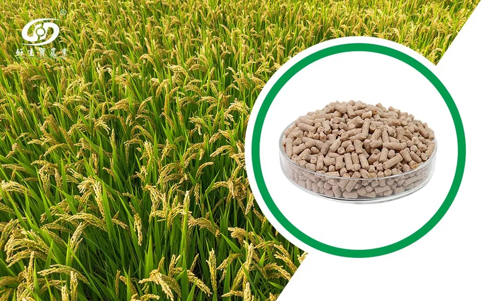 Advantage Illustration