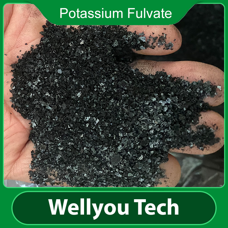 Humic Acid Potassium Fulvate Water Soluble Organic Fertilizer From Wellyou Tech