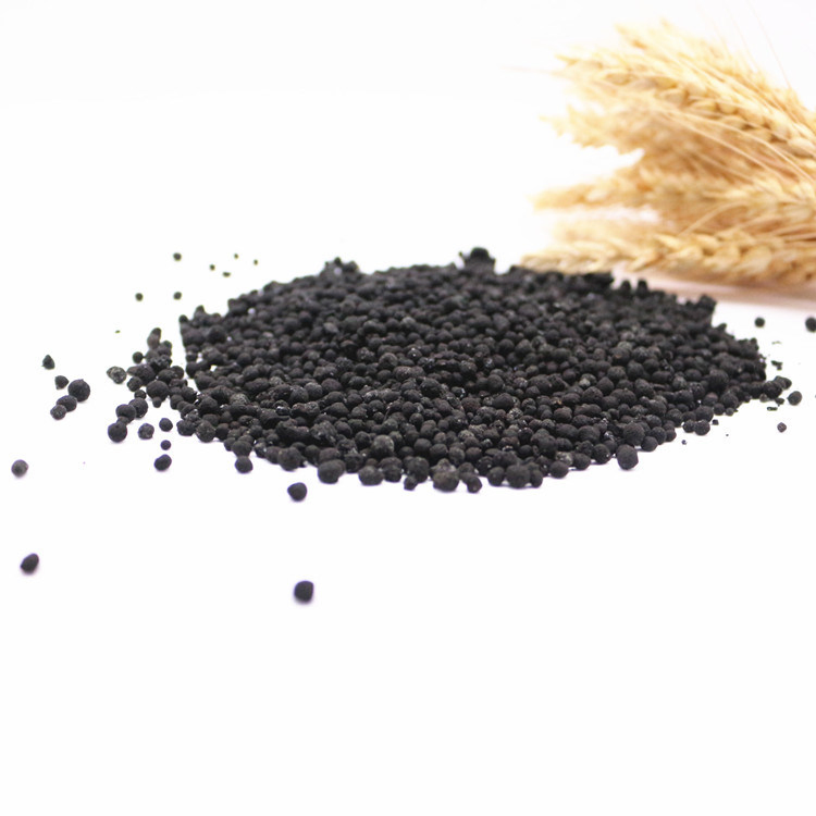 Natural High Quality Bio Organic and Inorganic Compound Fertilizer