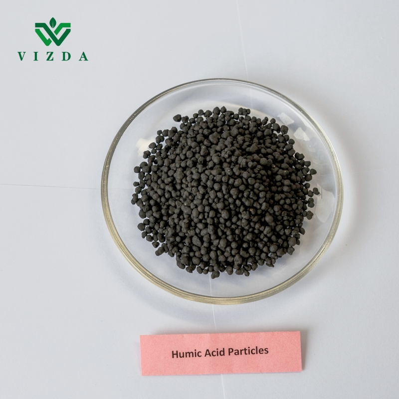 100% Soluble Humic Acid Fertilizer