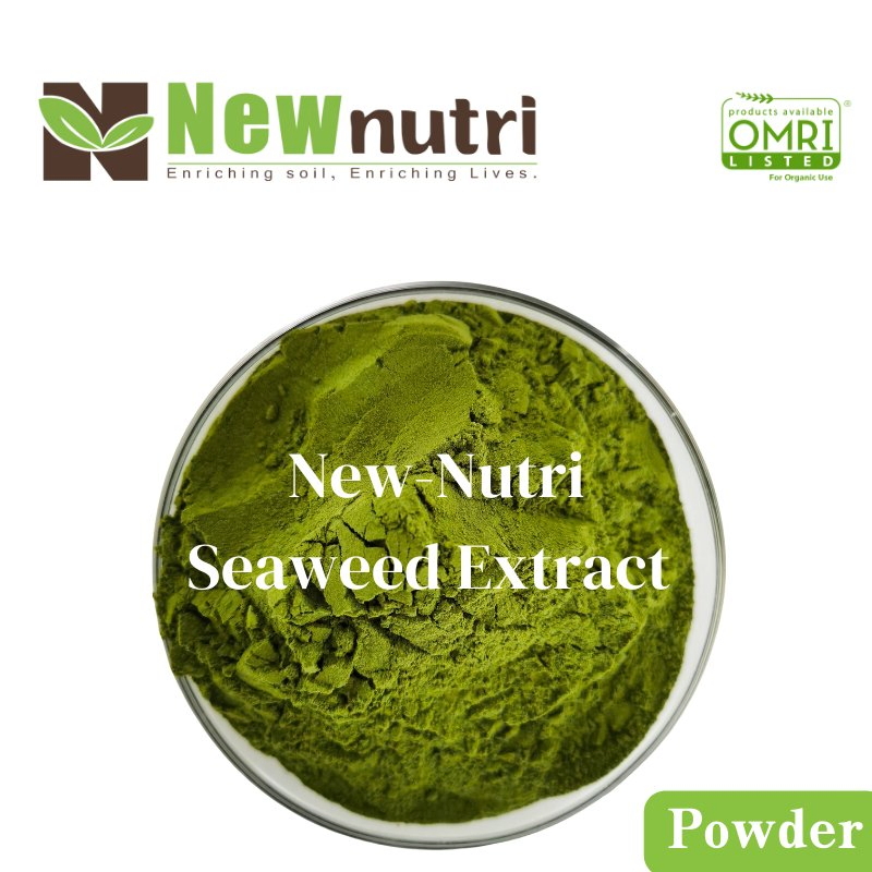 High-Purity Seaweed Extract Fertilizer for Crop Growth