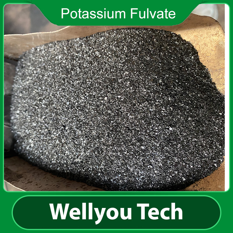 Humic Acid Potassium Fulvate Water Soluble Organic Fertilizer From Wellyou Tech
