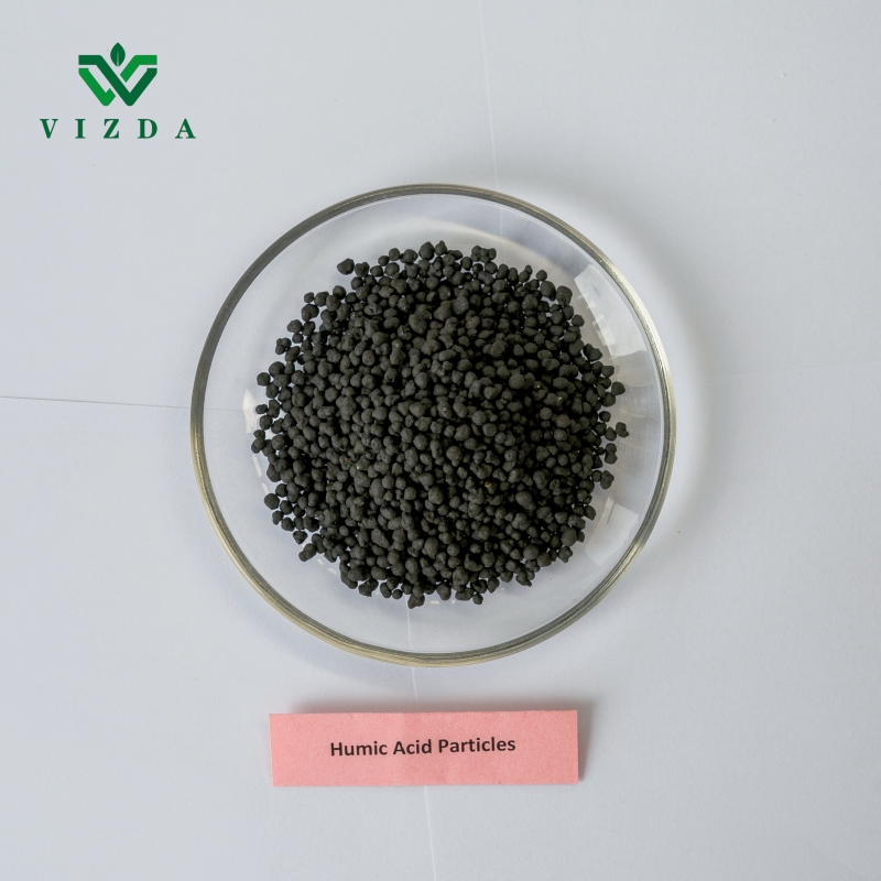100% Soluble Humic Acid Fertilizer