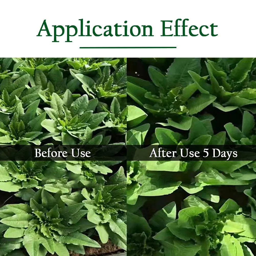 Seaweed Fertilizer Ascophyllum Nodosum Extract Algae Biositimulant Organic Liquid Fertilizer for Agriculture