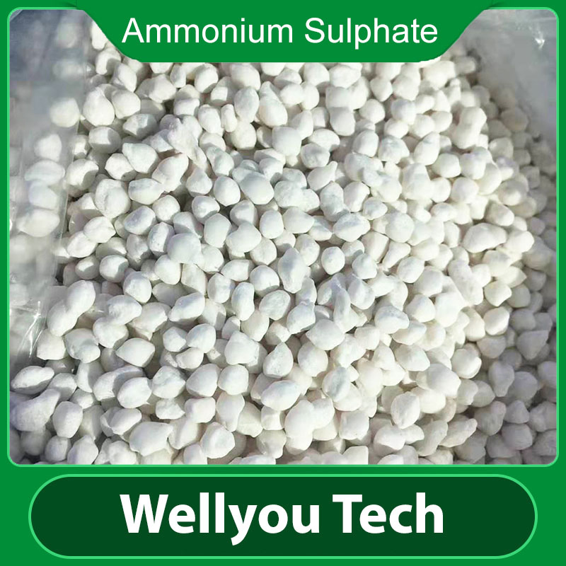 Ammonium Sulphate Granular Fertilizer NPK21-0-0 Nitrogen Fertilizer