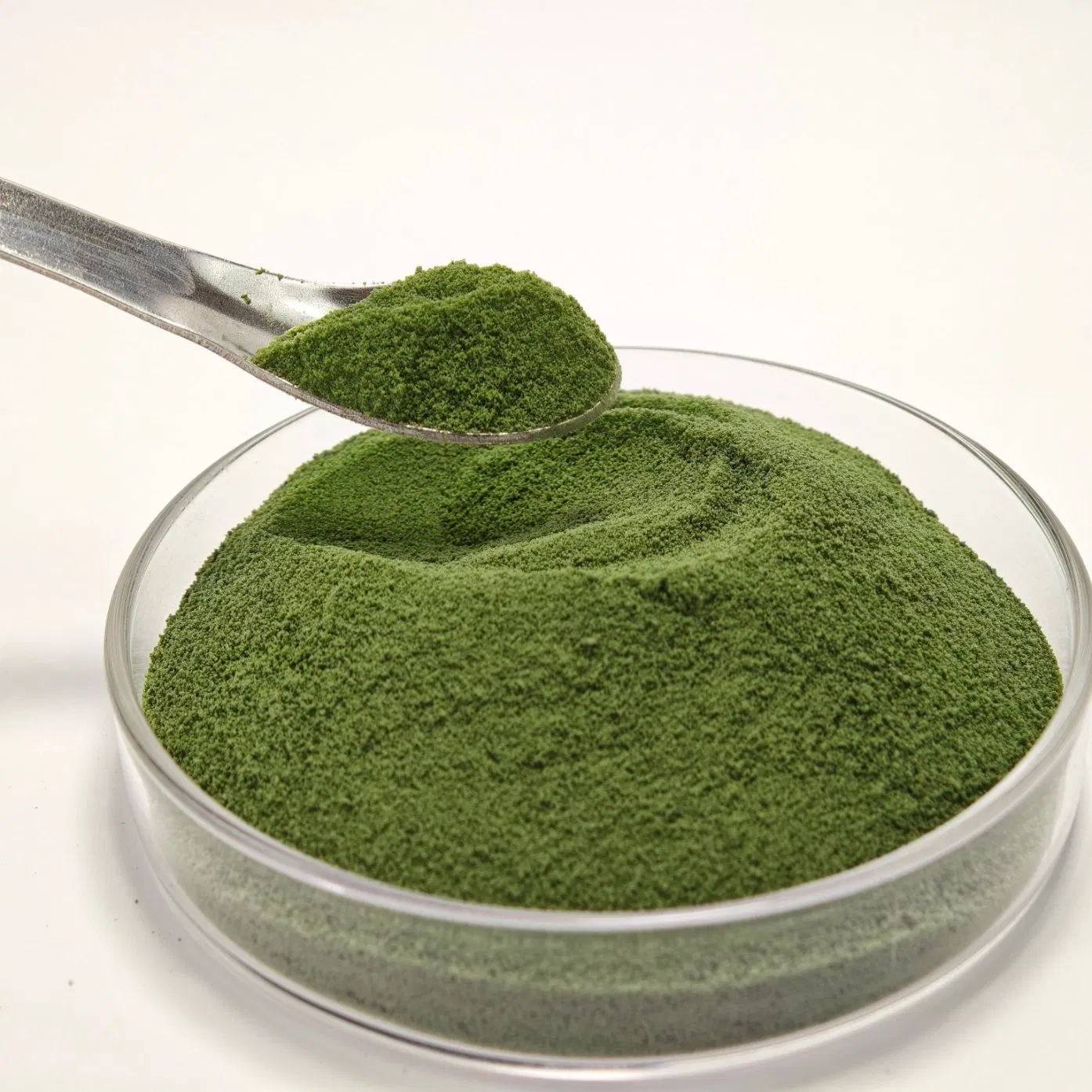 Biostimulant Organic Foliar Seaweed Extract Solid Organic Fertilizer with NPK