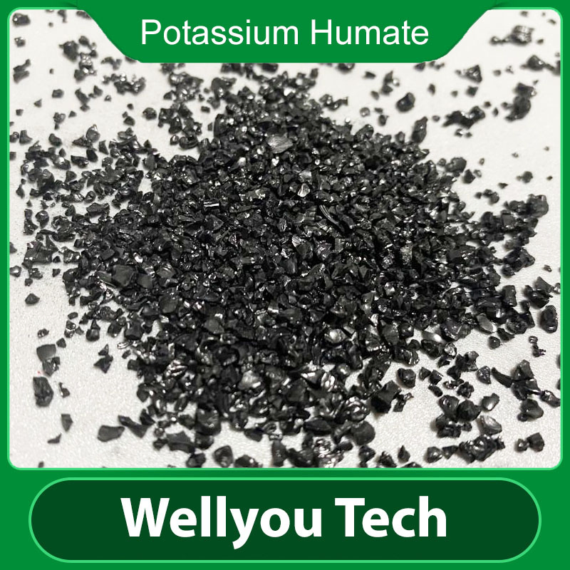 Leonardite Source Potassium Fulvate, Organic Fertilizer