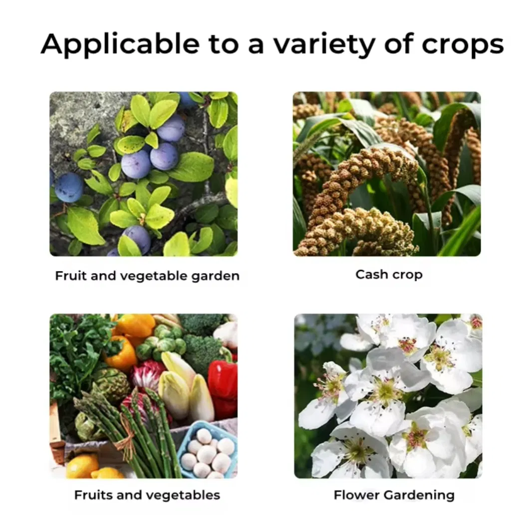 Application of NPK Fertilizer