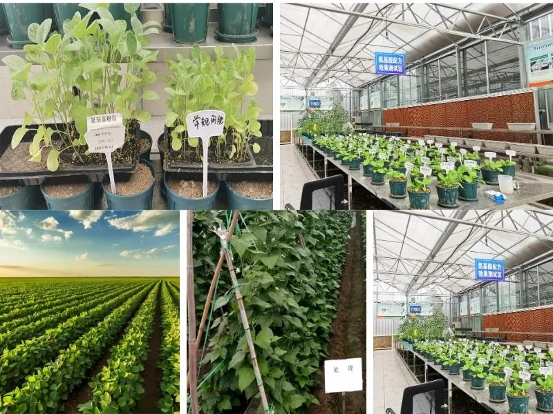 Fertilizer Application