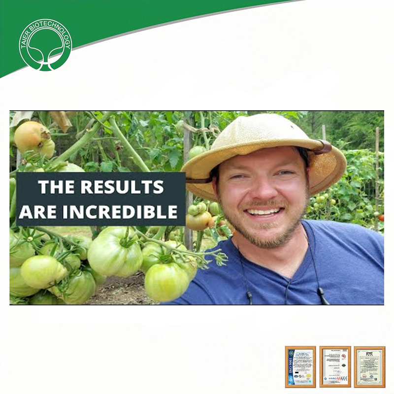 Water Soluble Bio Fertilizer Organic Nitrogen Amino Acid Powder From Soy Protein