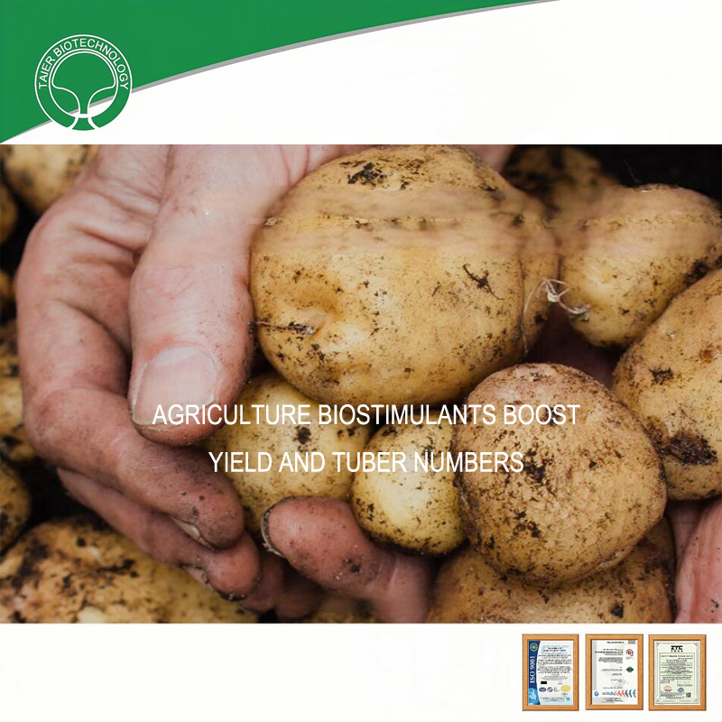 Water Soluble Bio Fertilizer Organic Nitrogen Amino Acid Powder From Soy Protein