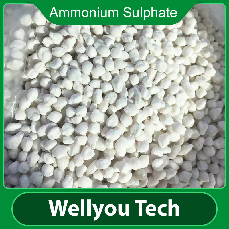 Ammonium Sulphate Granular Fertilizer NPK21-0-0 Nitrogen Fertilizer