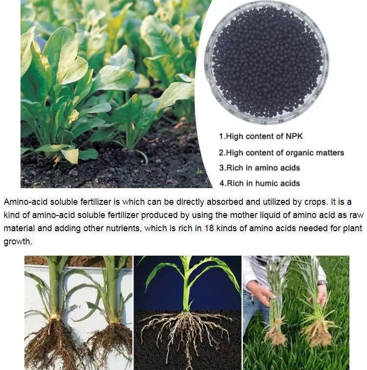 Organic Manure NPK Fertilizer