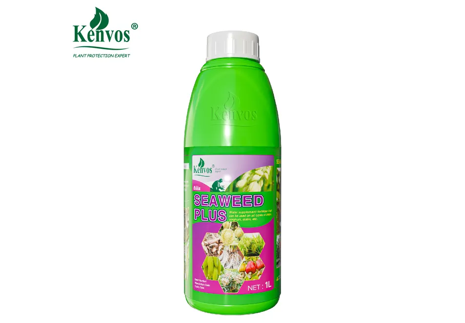 Flowering and Fruiting