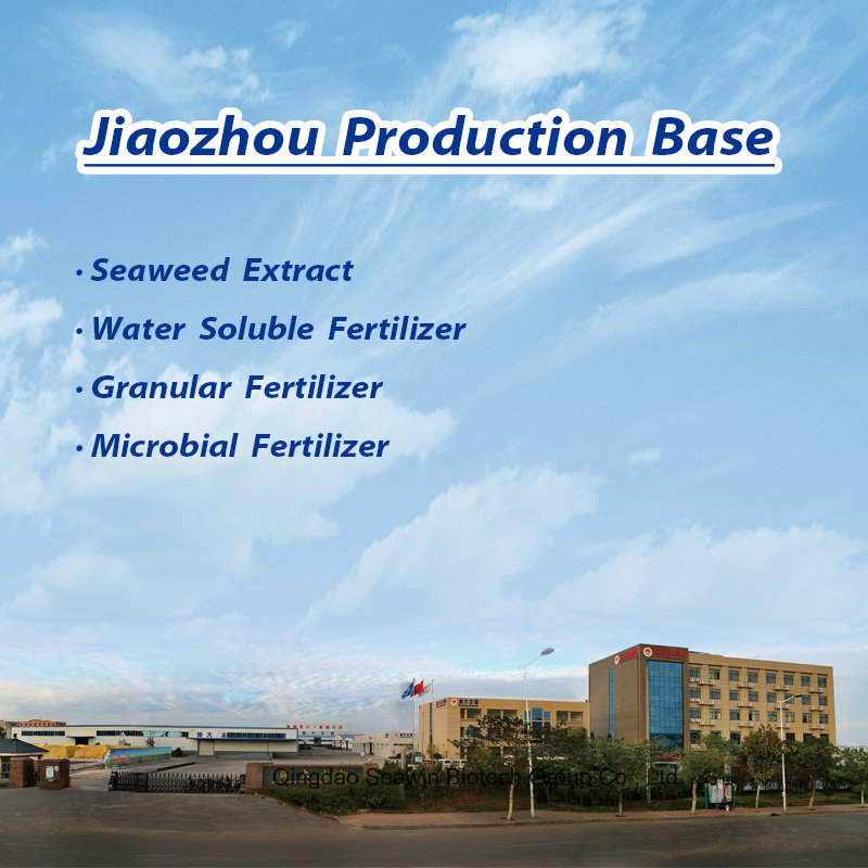 Seaweed Compound Solid Fertilizer NPK 12-6-12 with High Organic Matter