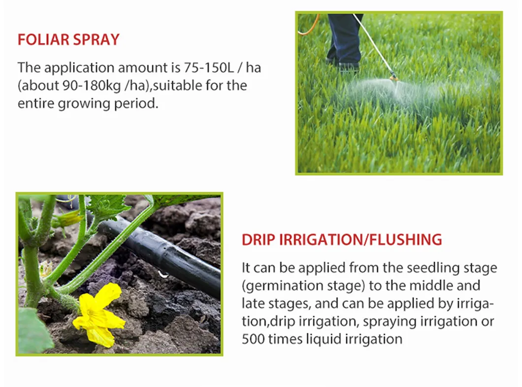 Liquid Microbial Fertilizer Rooting Agent
