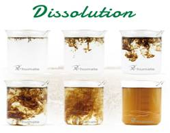 Soluble Humic Acid Fertilizer