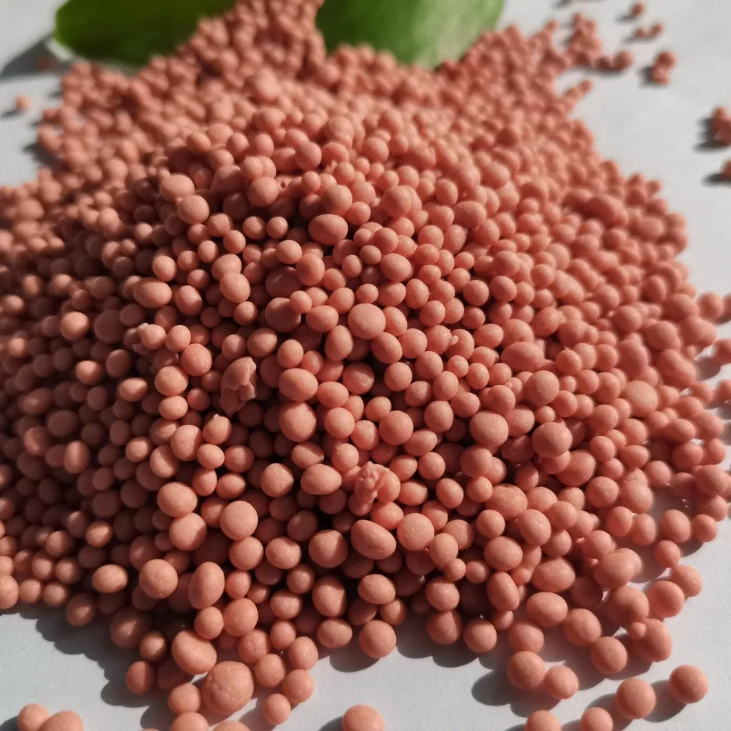NPK Compound Fertilizer 19-19-19