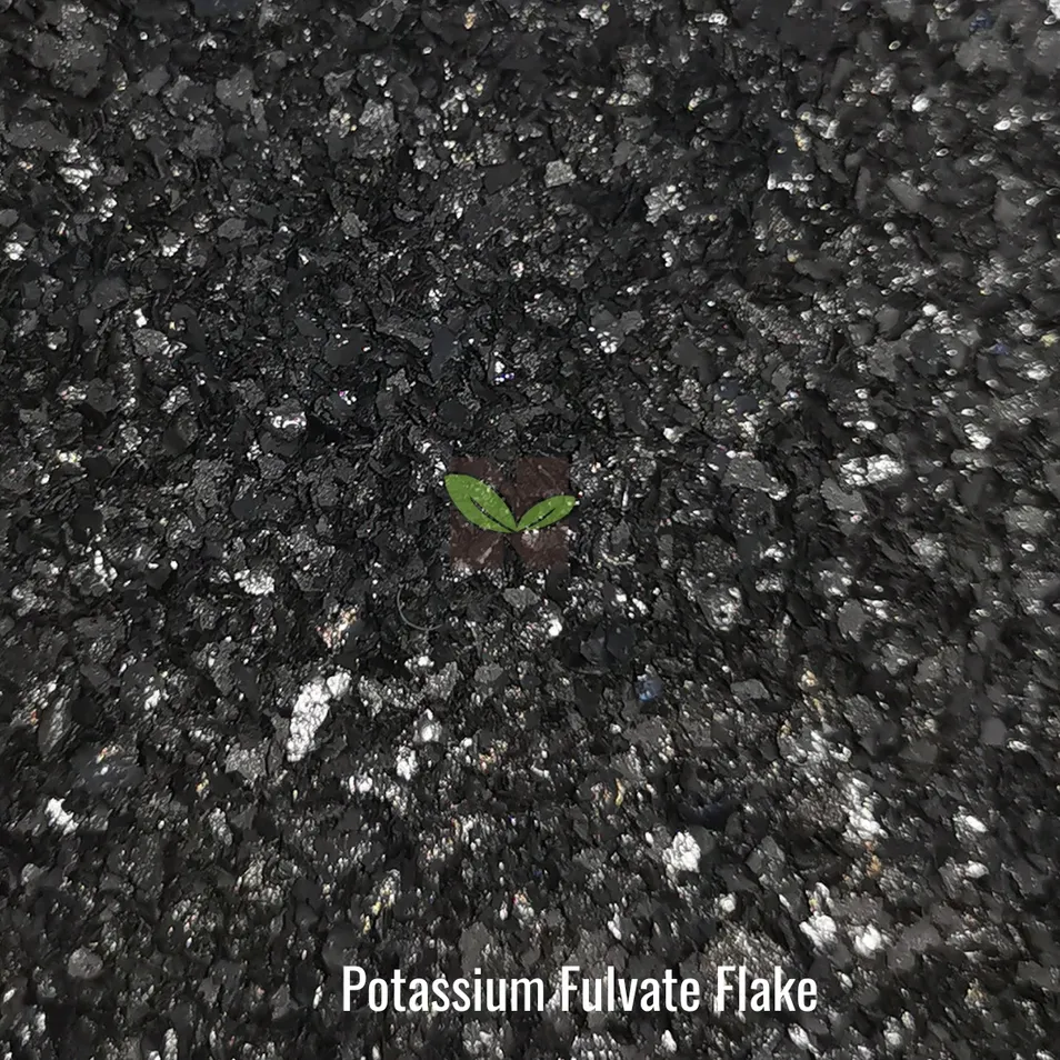 Soil Health Functions