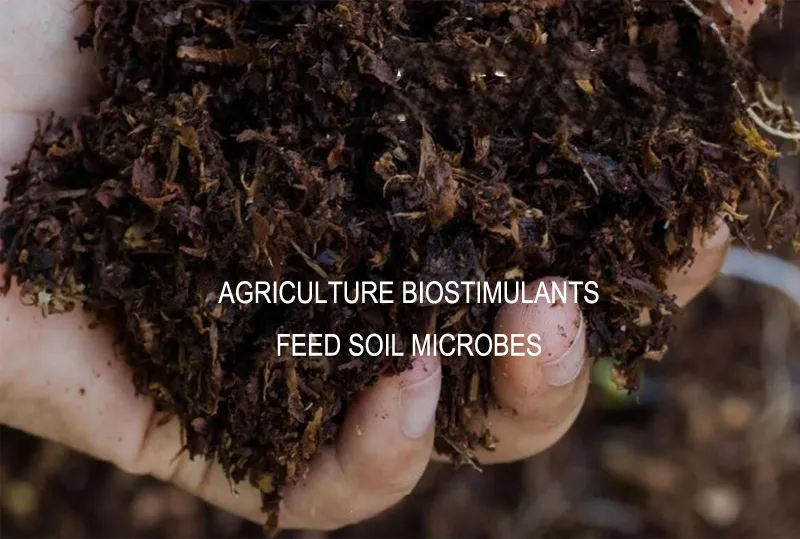 Soy Protein Powder 3