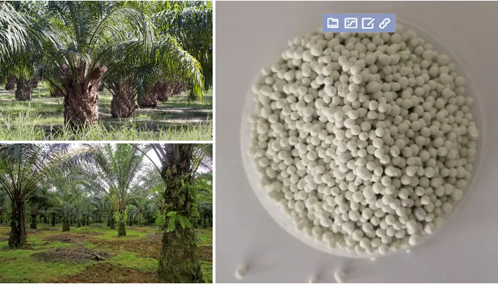 Fertilizer Application