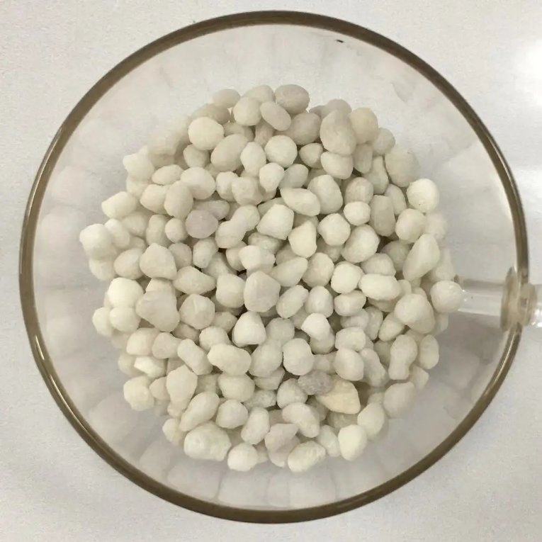 Slow Release NPK Fertilizer for Agriculture