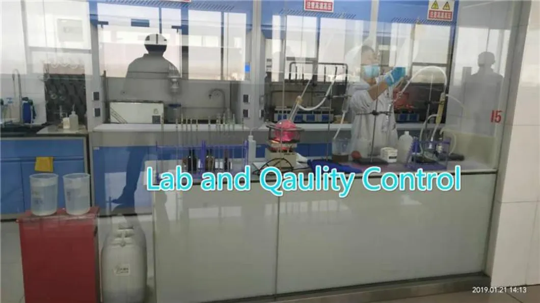 Lab