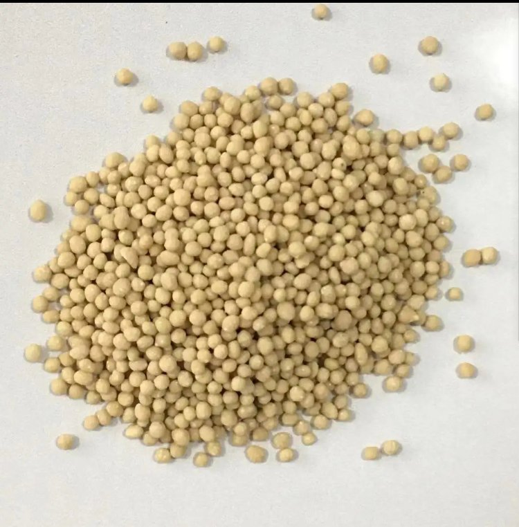 Slow Release NPK Fertilizer for Agriculture