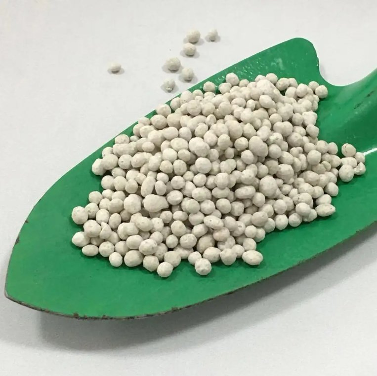 Slow Release NPK Fertilizer for Agriculture