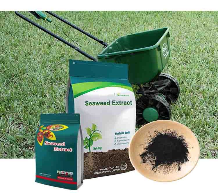 Biostimulant Seaweed Extract Fertilizer for Agriculture