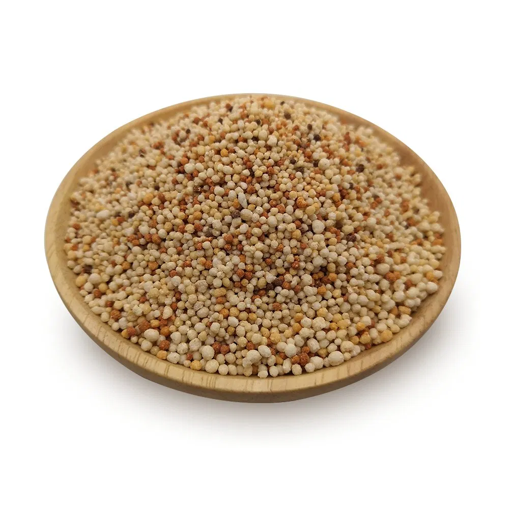 Lawn and Turf Slow Release Compound Fertilizer NPK8-12-18