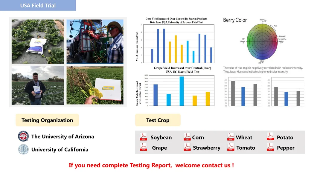 Root Fertilizer, Root Promoter and Stimulator
