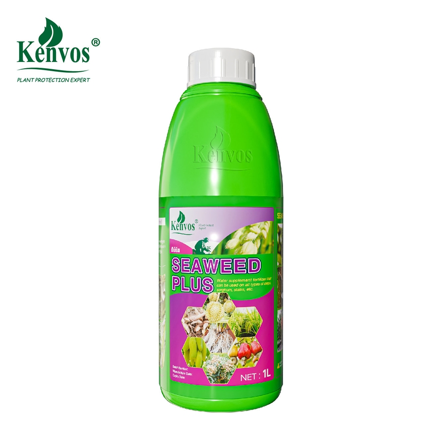 Kenvos Liquid Seaweed Extract Fertilizer for Promotes Root Growth