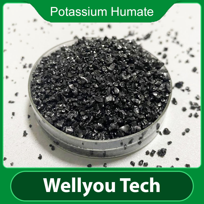 65% Humic Acid Fertilizer, Potassium Humate Organic Fertilizer
